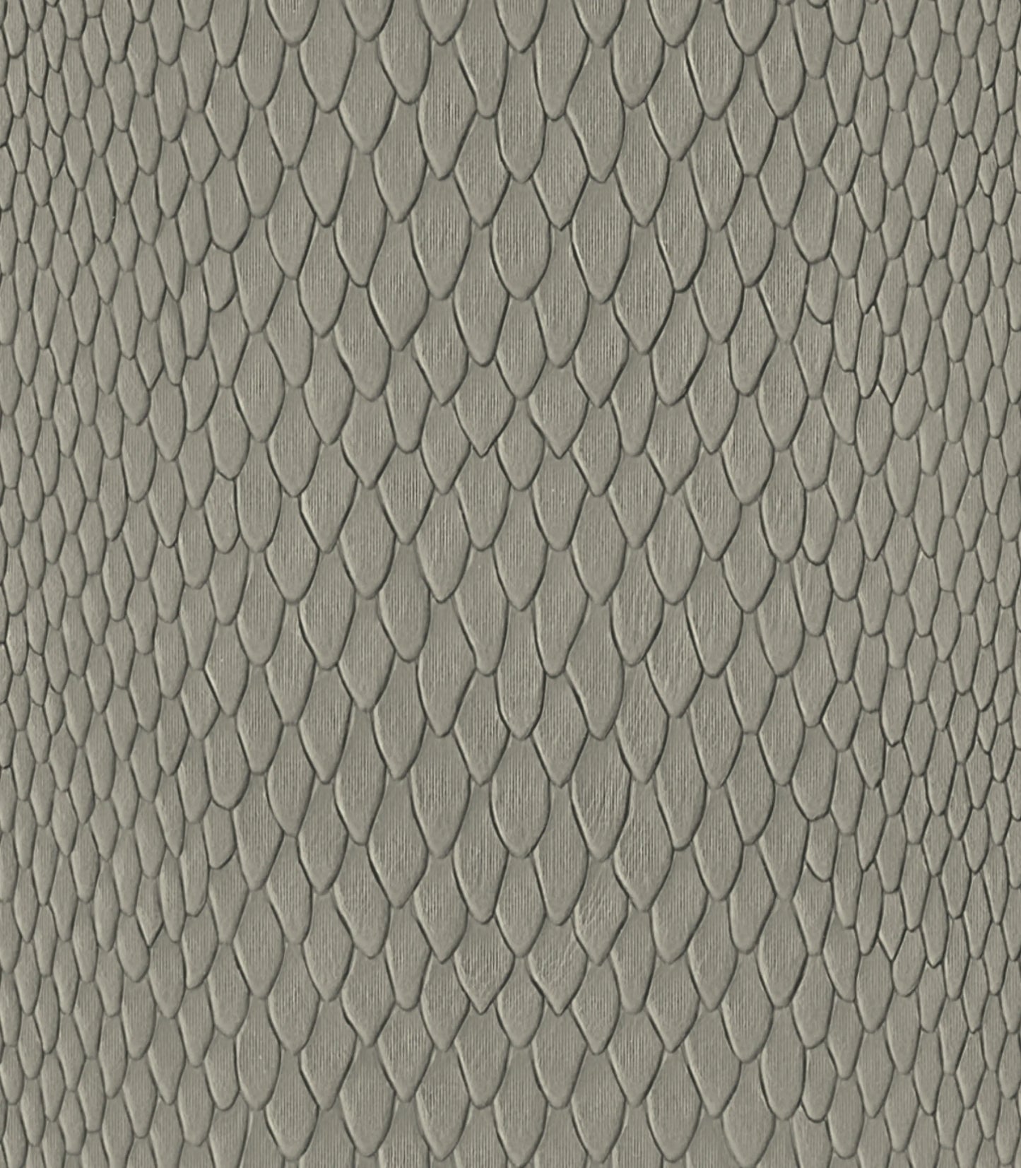 Light-Gray