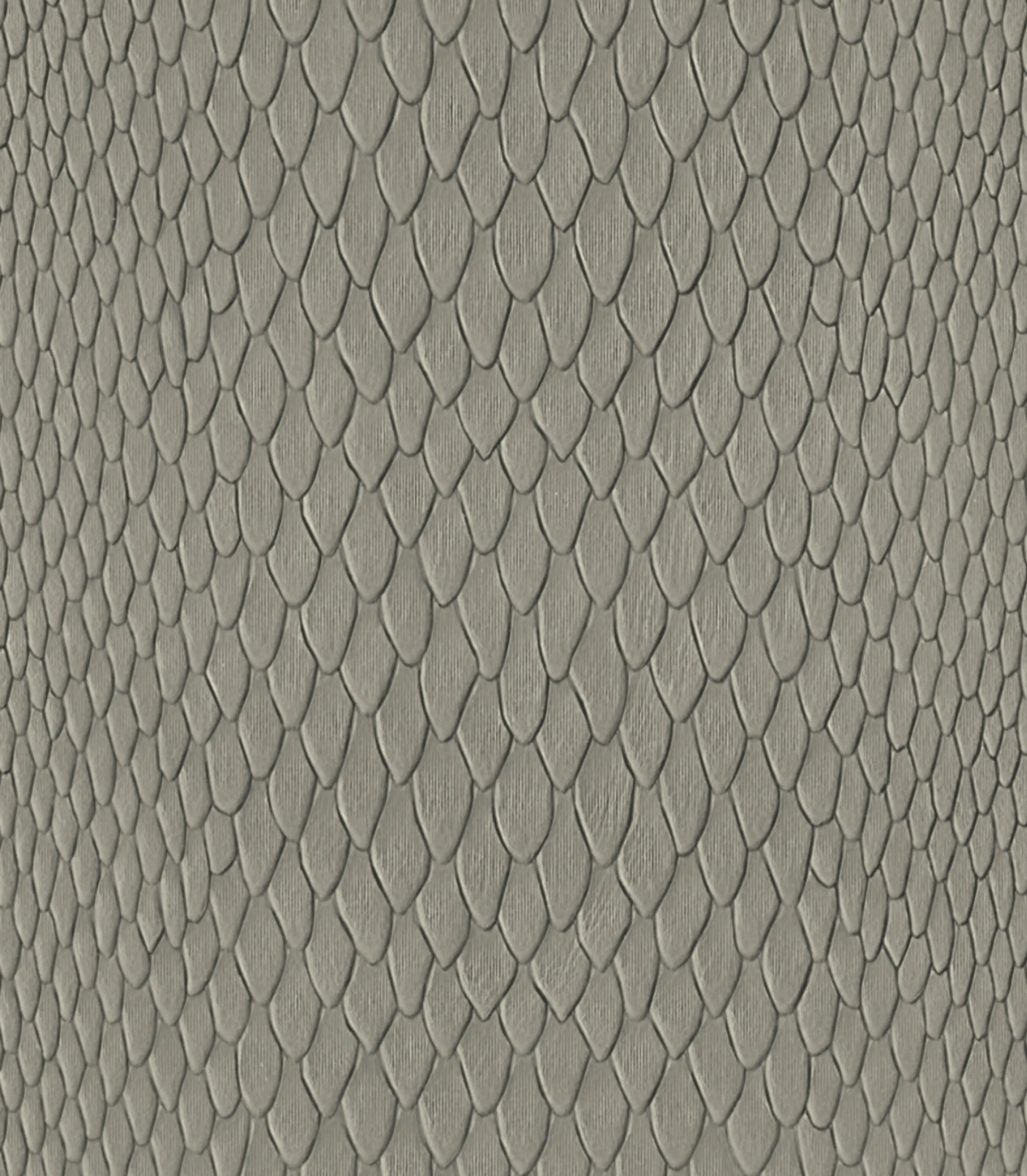 Light-Gray
