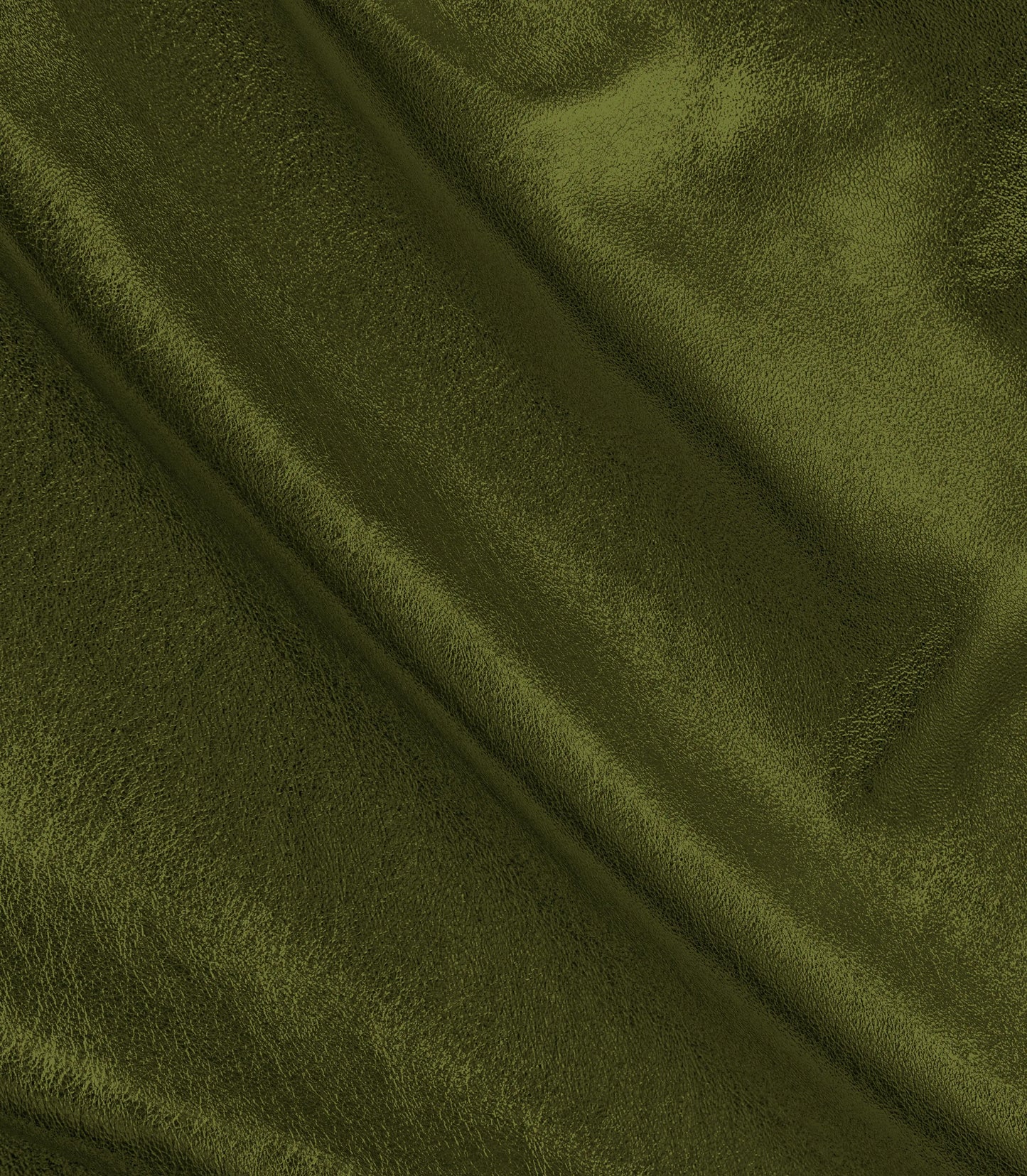 Olive-144
