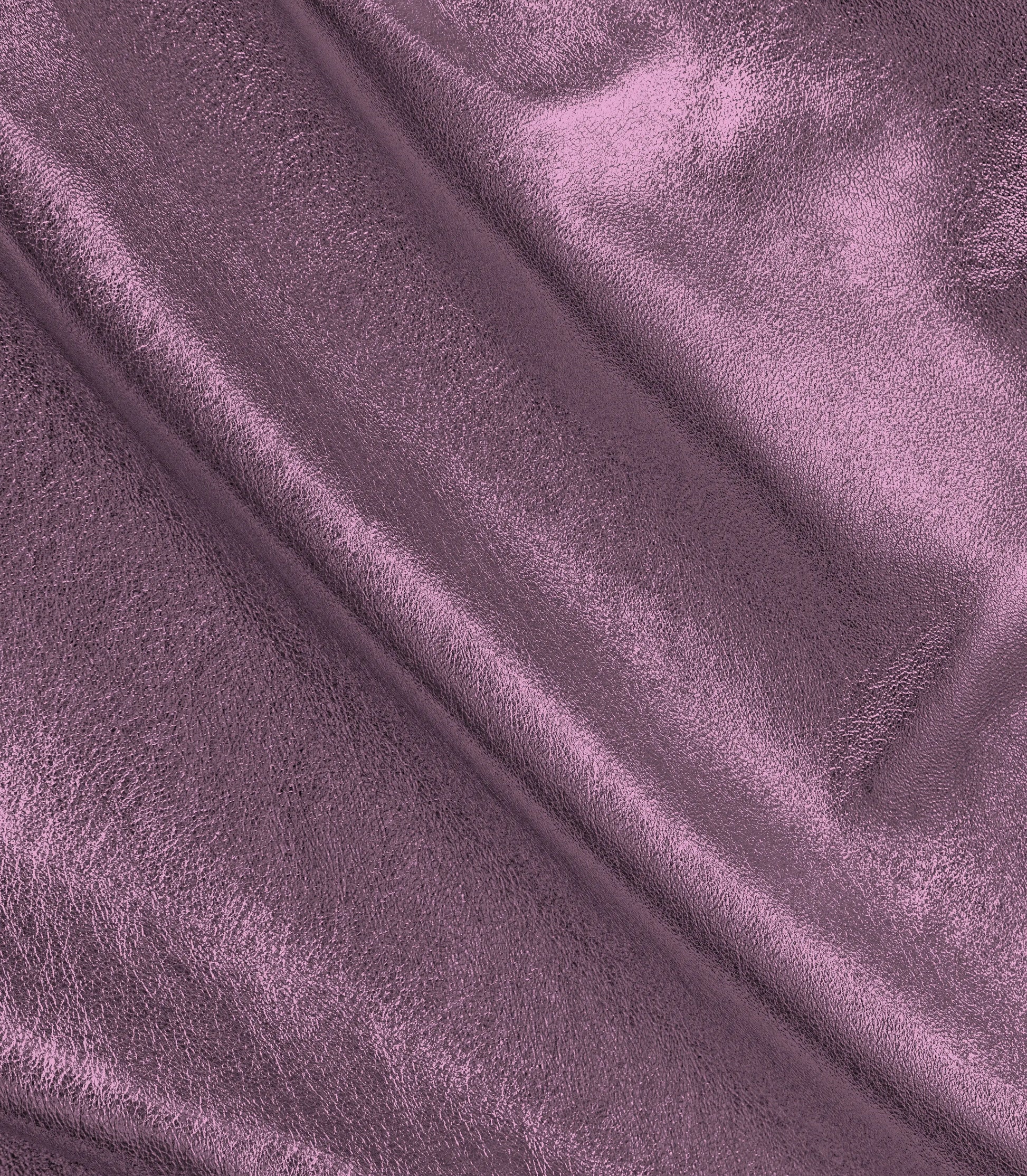 Fuchsia-132