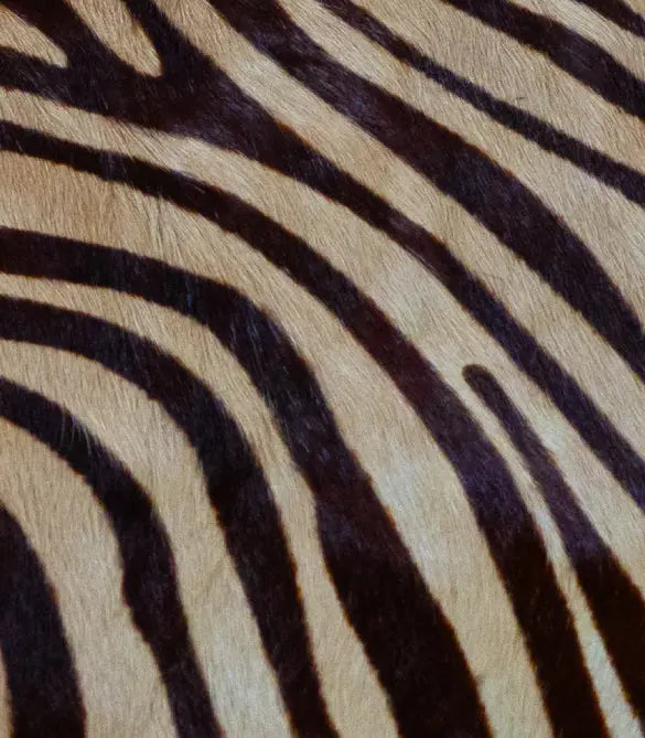 Brown-beige