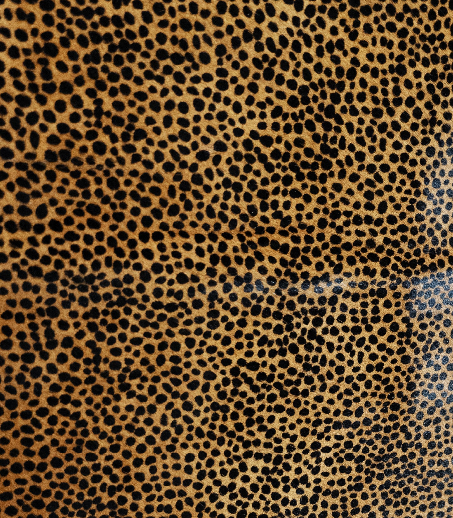 Hair-On Print Small Cheetah