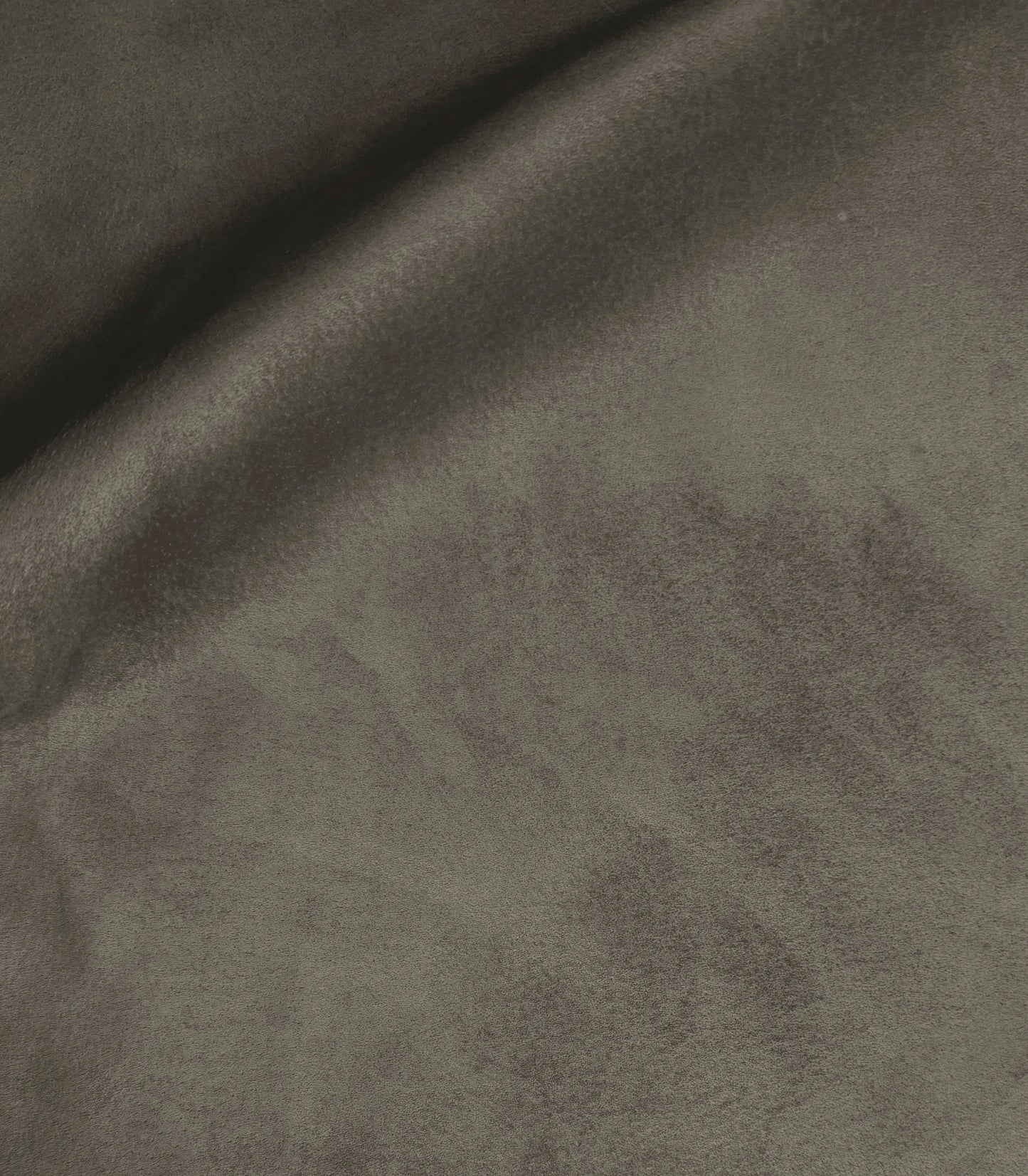 Dove-Gray