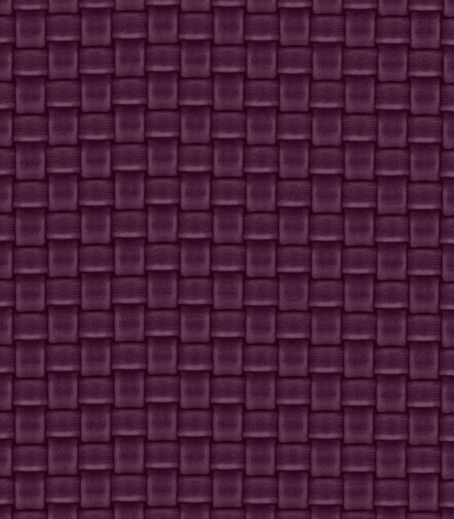 Fuschia