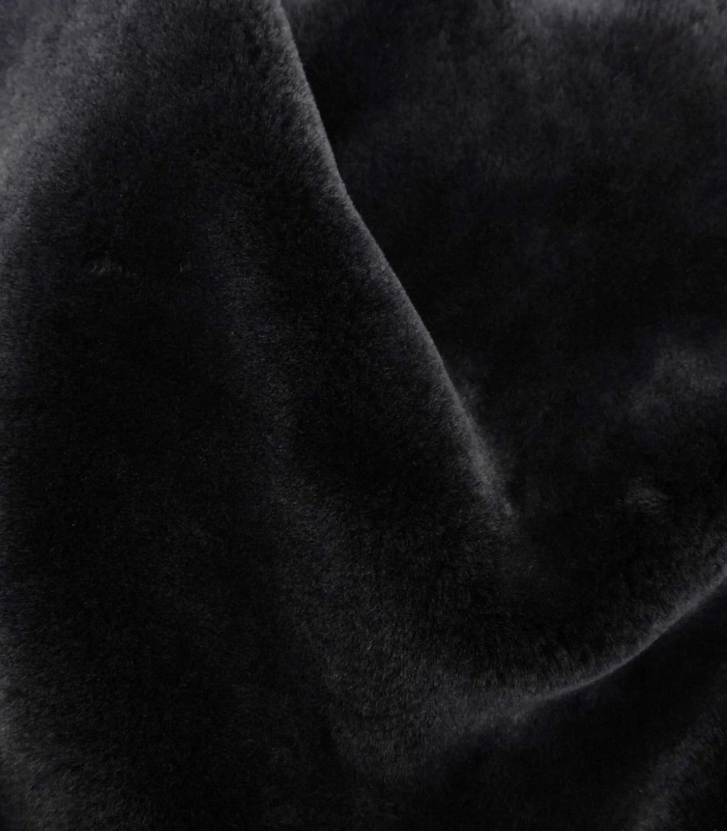 Black-Snowtop
