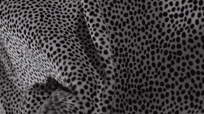 Hair-On Print Small Cheetah