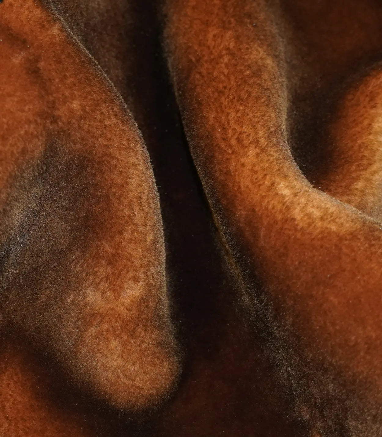 Cognac