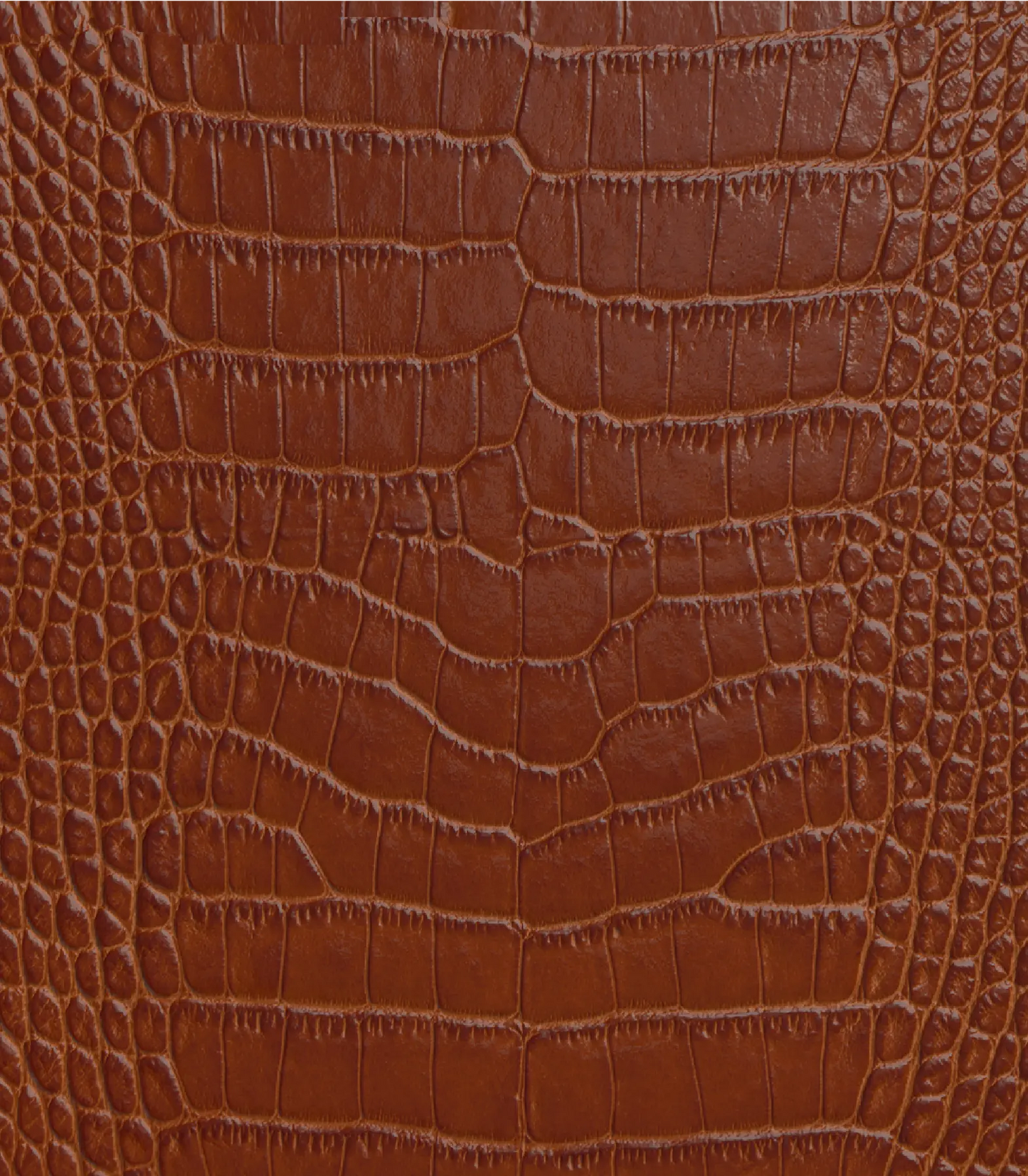 Embossed Crocodile On Cowhide – Stonestreet Leather