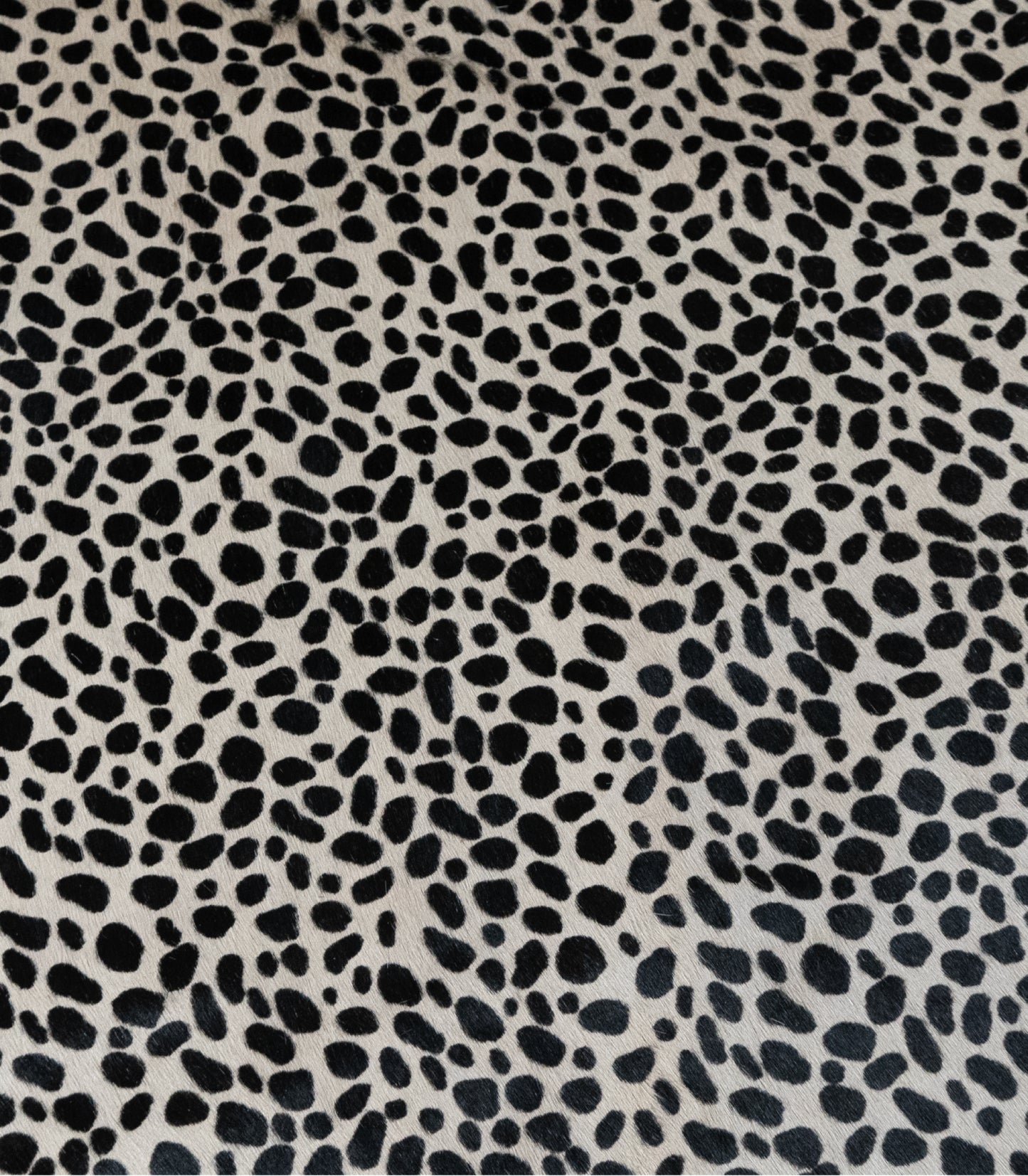 Hair-On Print Medium Cheetah