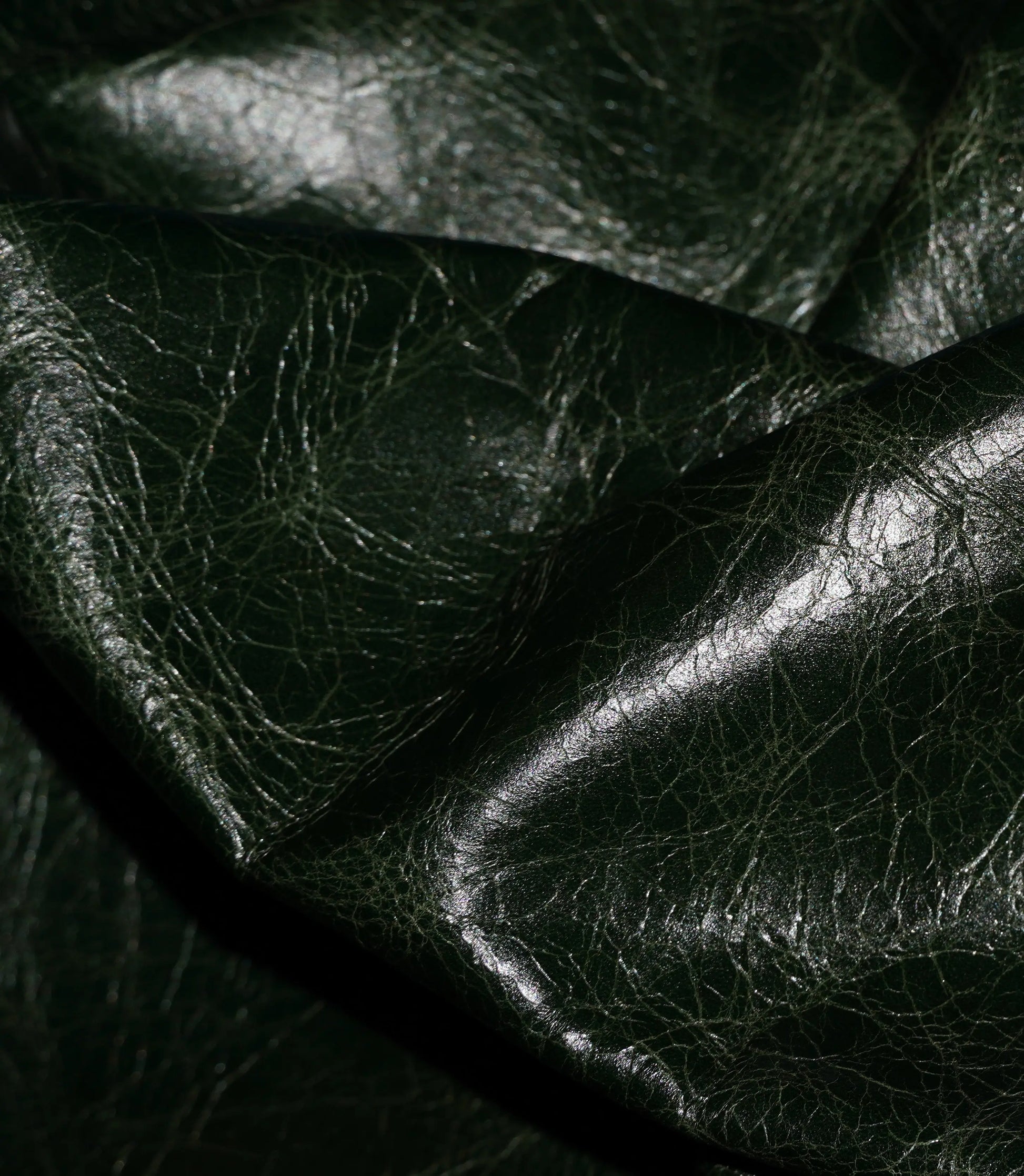 Forest-Green